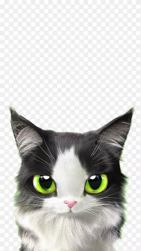 猫老鼠可爱礼物-绿眼猫