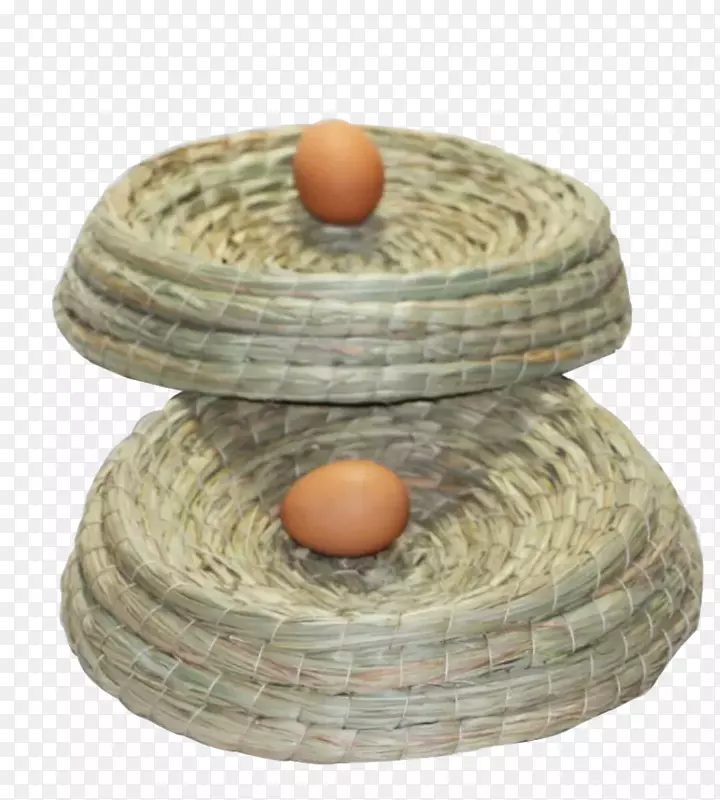 食用鸟巢-有两个鸟蛋