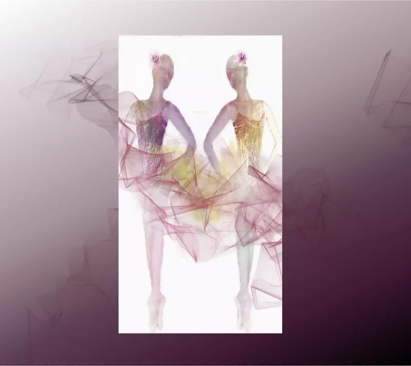 芭蕾舞者芭蕾舞鞋夹艺术剪贴画二重奏芭蕾