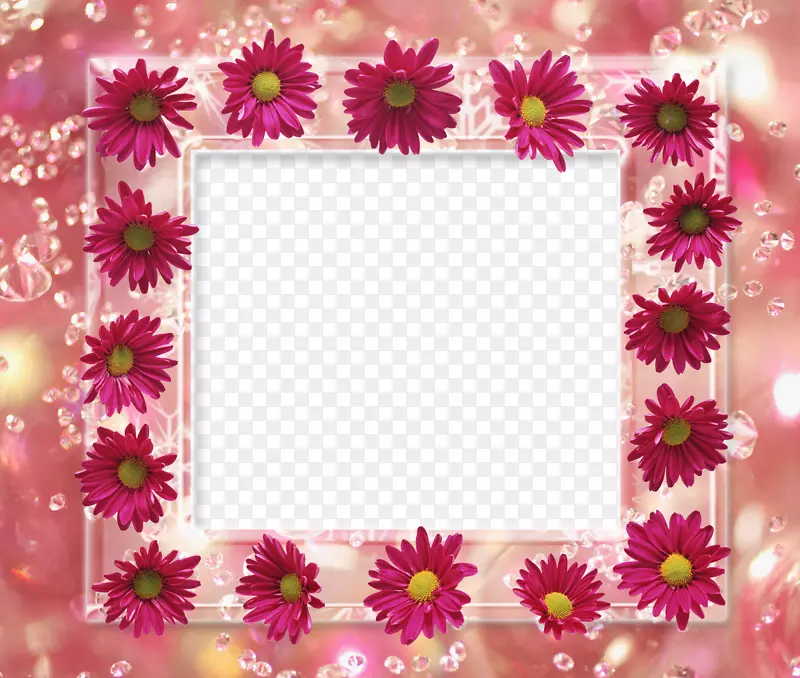 边框和相框.花夹艺术.抽象的花框png
