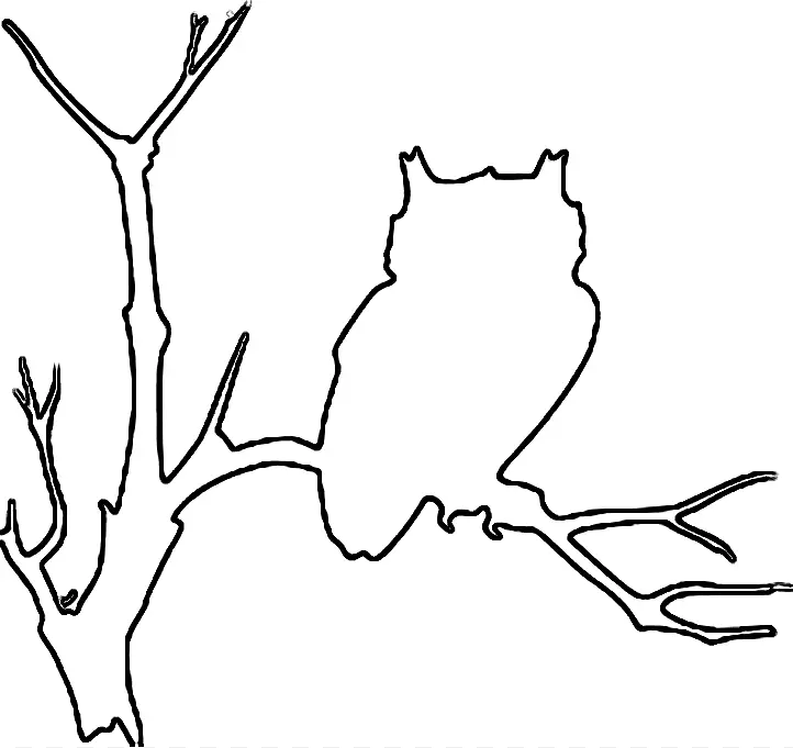 猫头鹰鸟轮廓画夹艺术猫头鹰轮廓