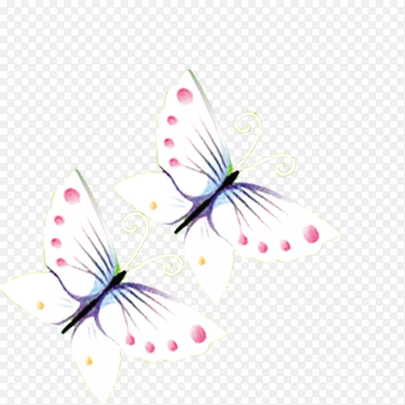 蝴蝶白色透明半透明蝴蝶