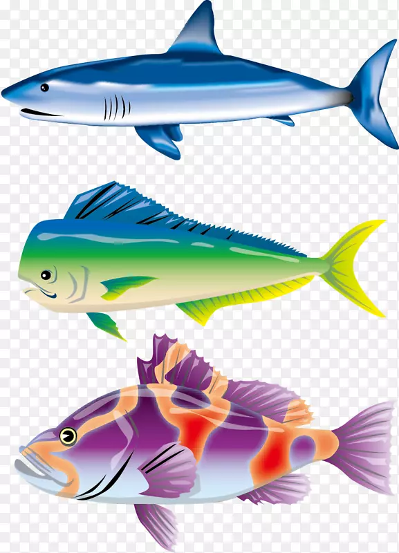 蓝鲨鱼插图.彩色鱼载体材料