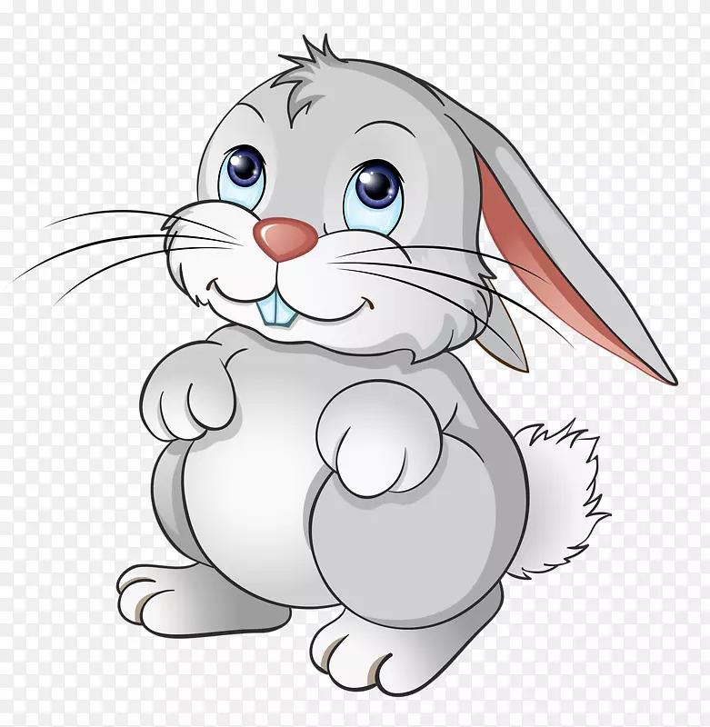 兔卡通宠物手绘兔