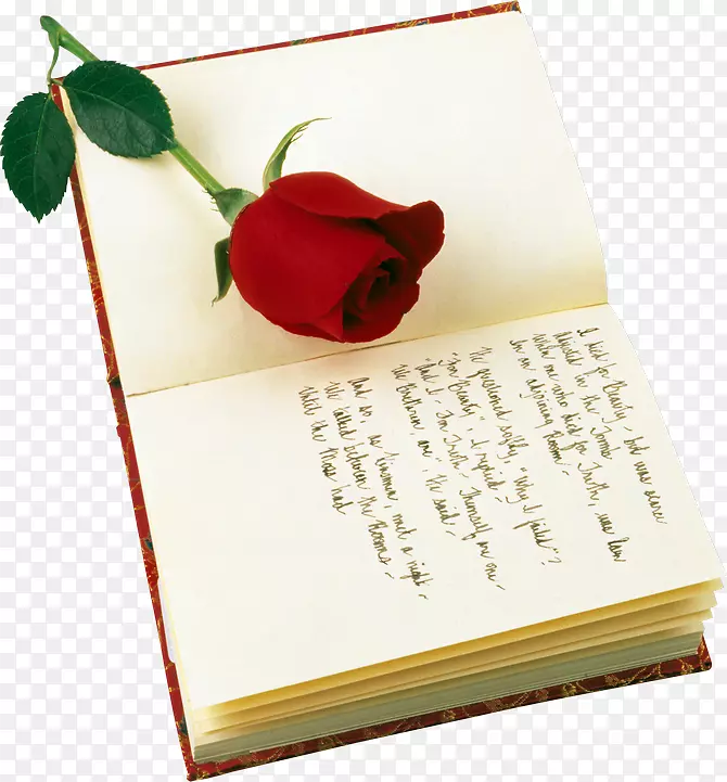 红玫瑰情人节诗歌圣乔治节-玫瑰和书籍