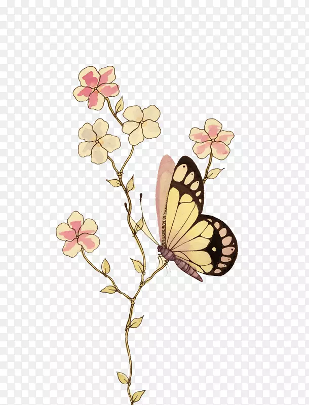 水彩画模板插图.蝴蝶