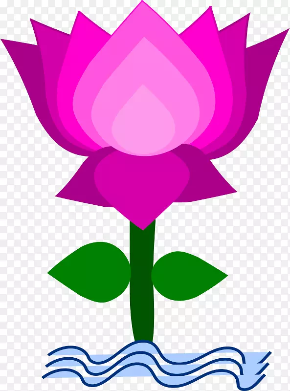 Nelumbo nucifera免费内容剪辑艺术-莲花剪贴画