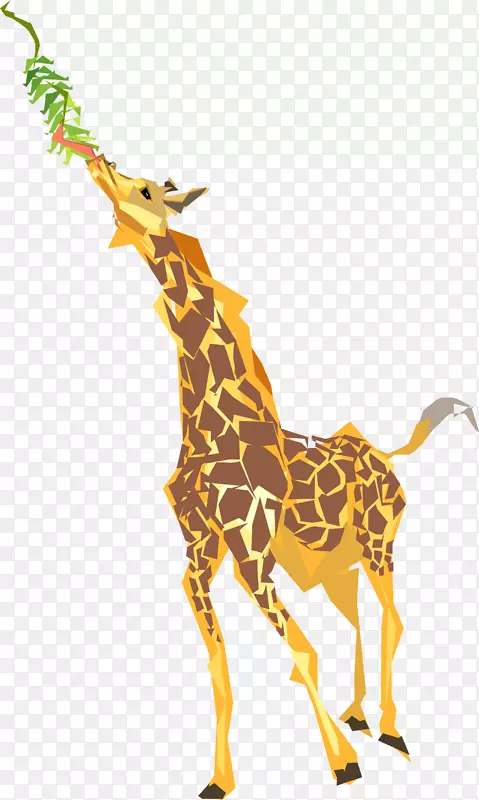 长颈鹿吃树叶夹艺术动画长颈鹿剪贴画