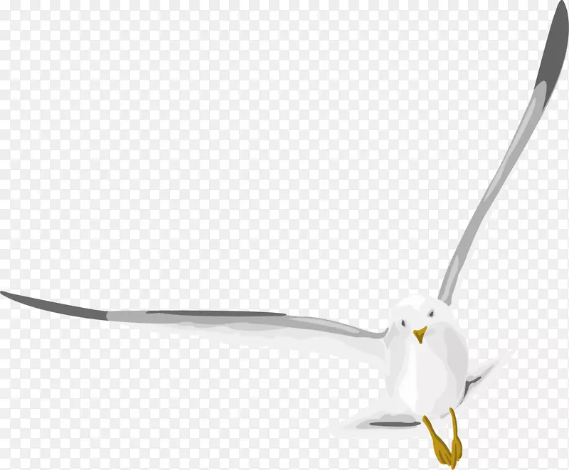 设计师-海鸥以生动的图案飞翔。