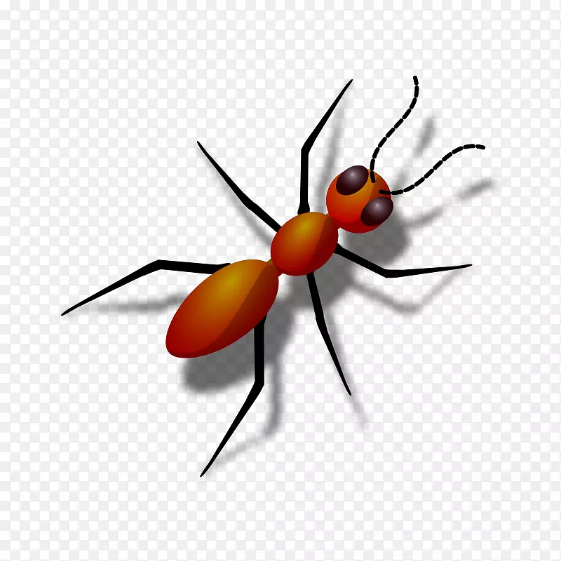 蚂蚁南瓜免费内容剪辑艺术-玉米秸秆剪贴画