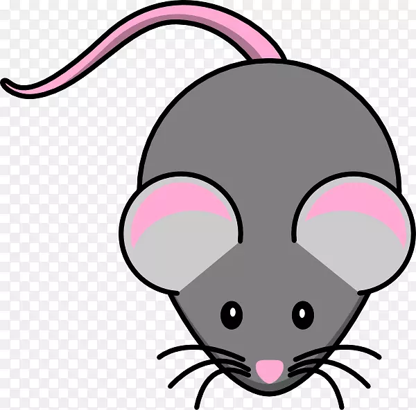 电脑鼠标，老鼠，免费内容，剪贴画-可爱的卡通鼠标图片