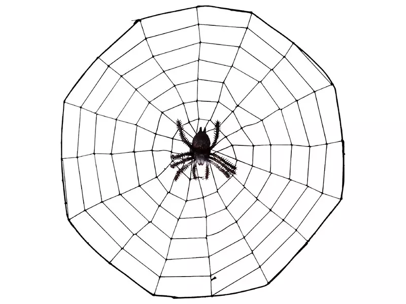 蜘蛛网剪贴画-卡通蜘蛛图片