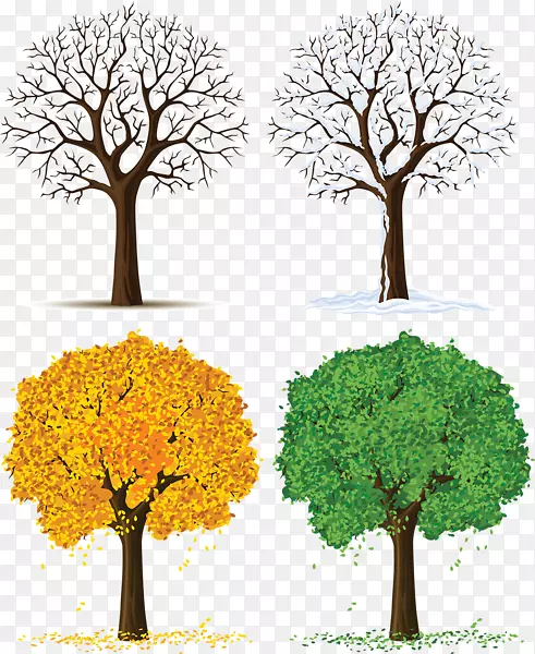 树木季节剪贴画-四季PNG透明图像