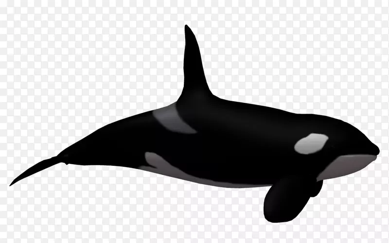 齿鲸虎鲸剪贴画卡通驼背鲸