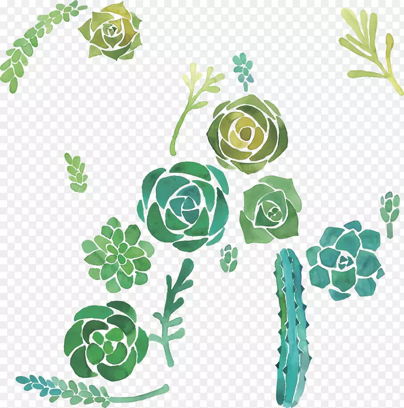 仙人掌科水彩画肉质植物插图水彩花