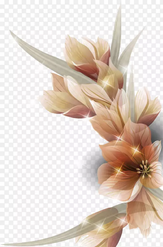 花卉设计-美丽多姿多彩的花朵