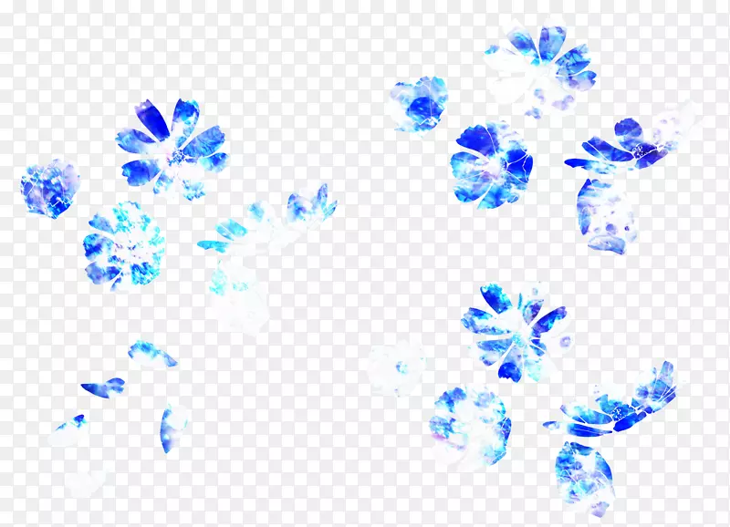 兰花-蓝白色兰花