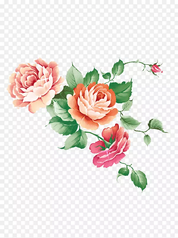 花园玫瑰水彩画水墨画水彩画