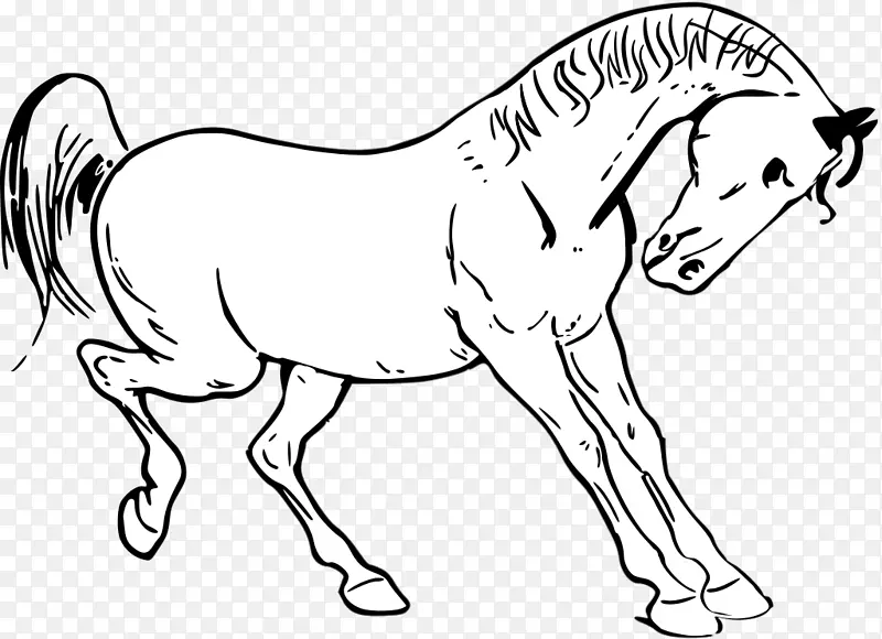 田纳西马-马术剪贴画-马匹形象