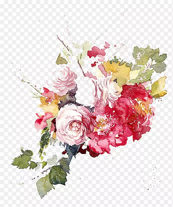 水彩画花园玫瑰花花卉设计插图水彩画花卉