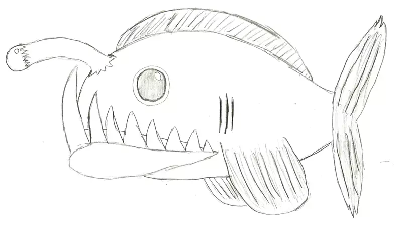 画天使鱼素描-如何画鱼