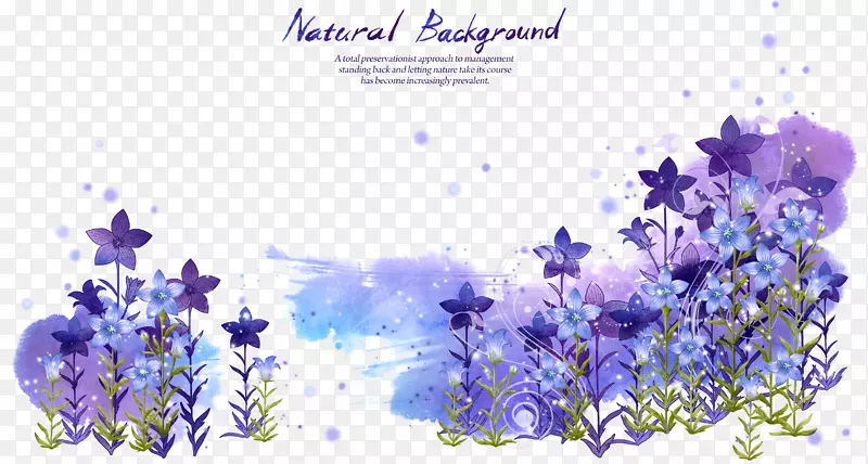 紫花镶嵌花PSD层状材料