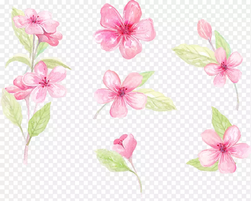 纸花设计花夹艺术手绘花