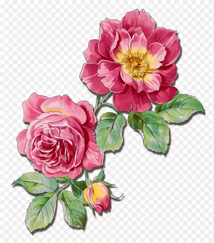 玫瑰花水彩画-花