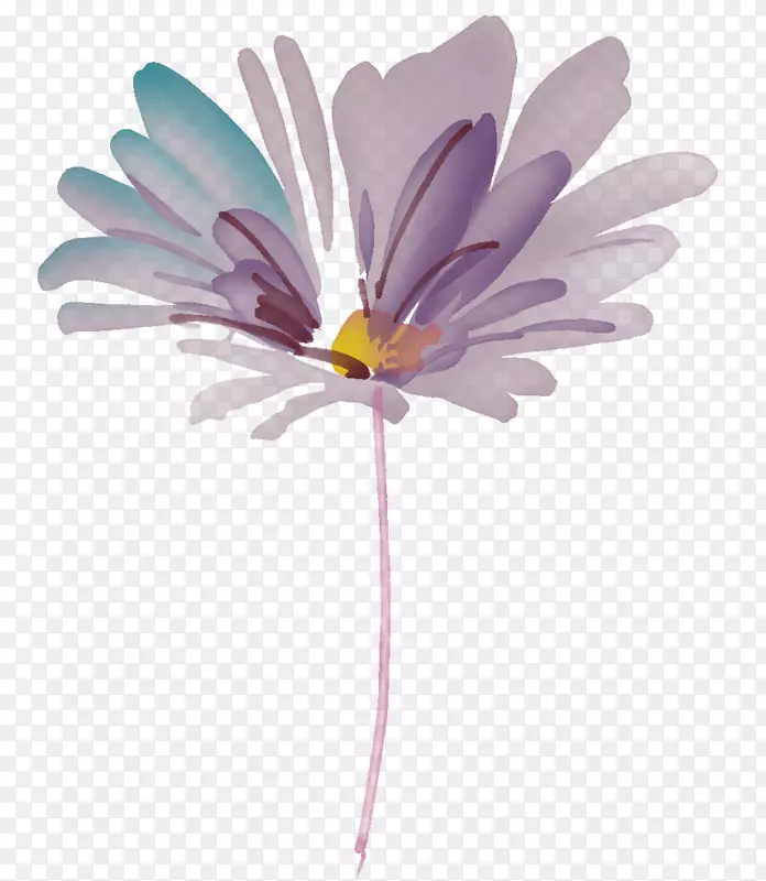 紫花水彩花