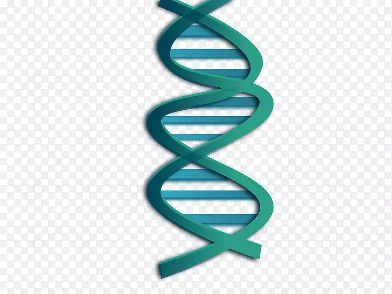 DNA核酸双螺旋遗传学剪贴画微生物学片段