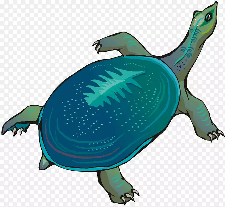 海龟免费内容剪辑艺术-海龟图形
