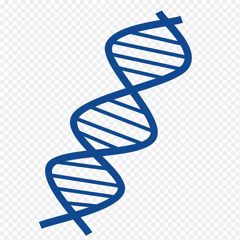 DNA核酸双螺旋游离含量剪贴画dna剪贴画