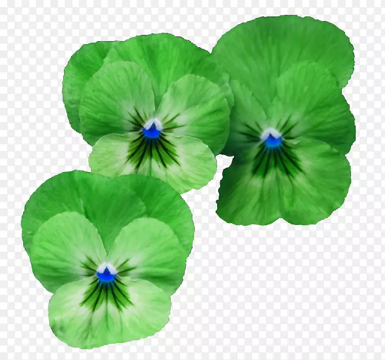 花绿花
