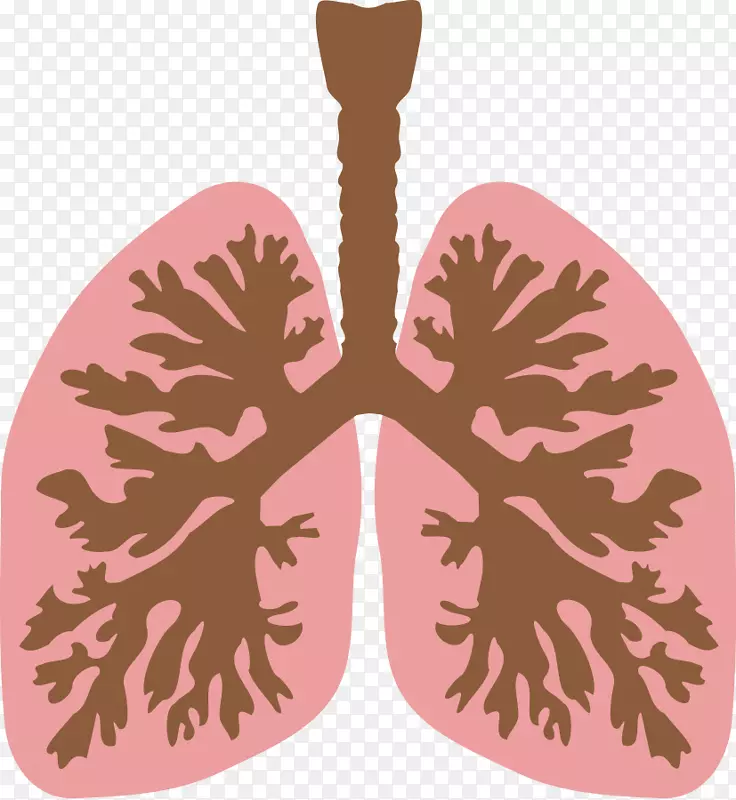 肺支气管人体剪贴术.喘息