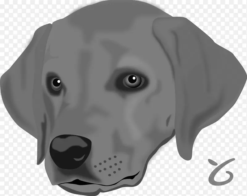 拉布拉多猎犬免费剪贴画-狗图像