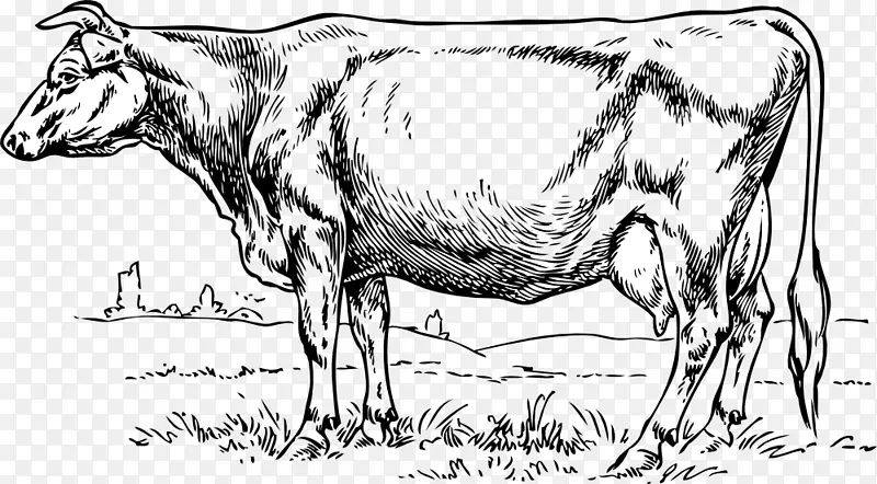 泽西岛荷斯坦牛幼牛剪贴画-奶牛图形