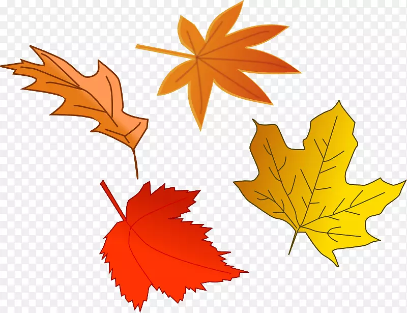 秋天的叶子颜色，叶子是一片地落下，艺术-秋天的叶子
