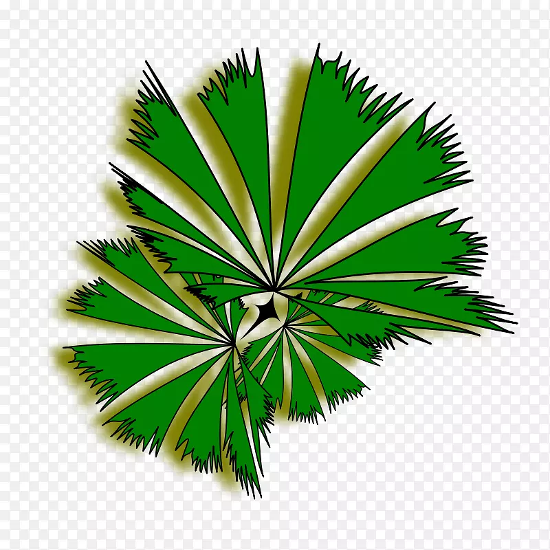 槟榔科树木免费内容剪辑艺术-棕榈树剪辑