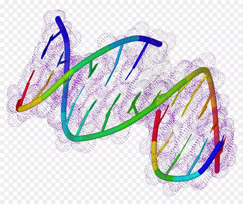 生物dna化学分子遗传学基因免费下载