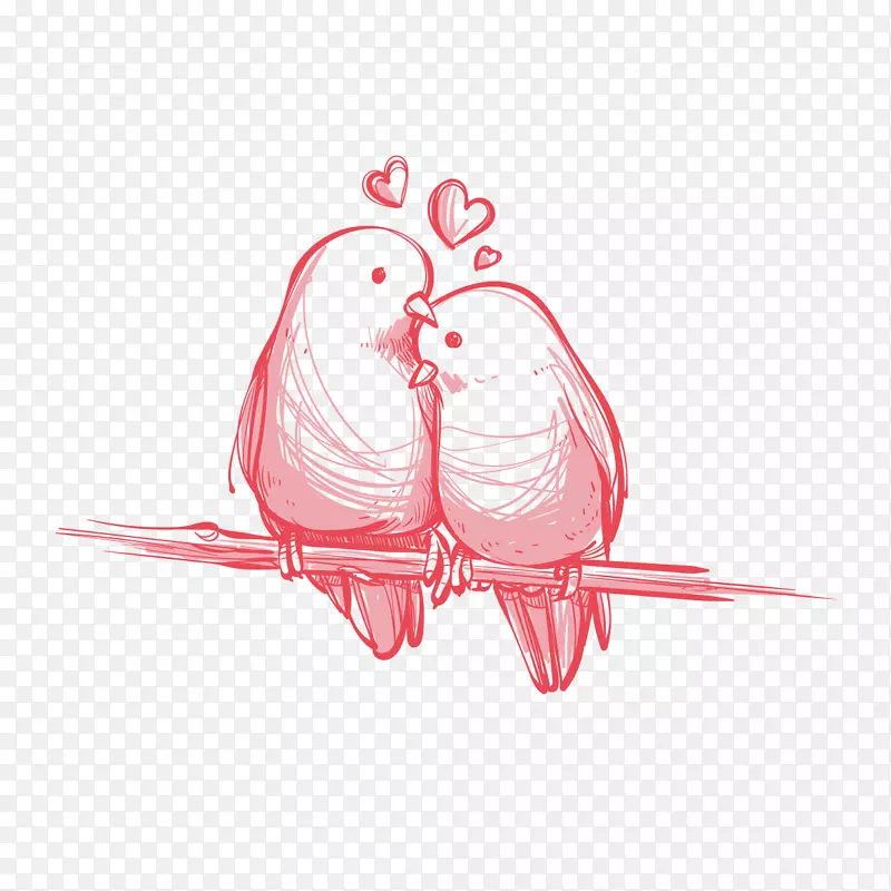 爱情婚礼邀请函Youtube情人节粉红背景手绘鸟免费下载