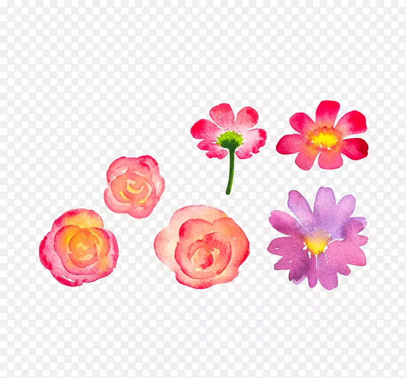 花卉图手绘花卉免费下载
