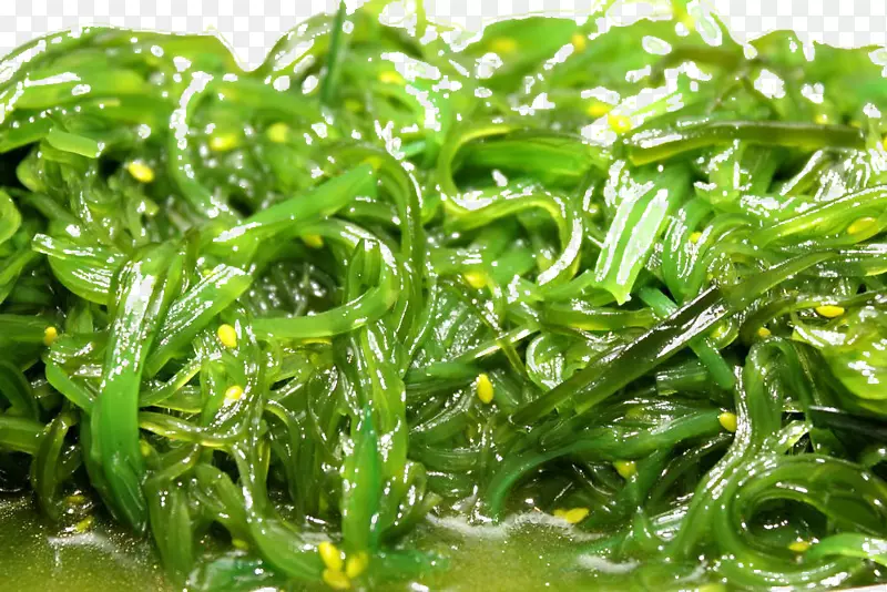 素食菜螺旋藻藻类素食海藻-螺旋藻免费下载