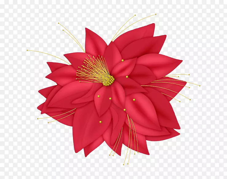 圣诞饰品圣诞装饰剪贴画-鲜花PNG材料免费下载