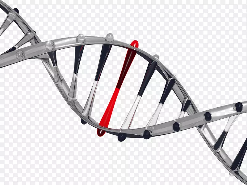 它在你的dna中：从发现到结构，在进化中的功能和作用，癌症和老化的道德密码生物学遗传学-基因免费下载。