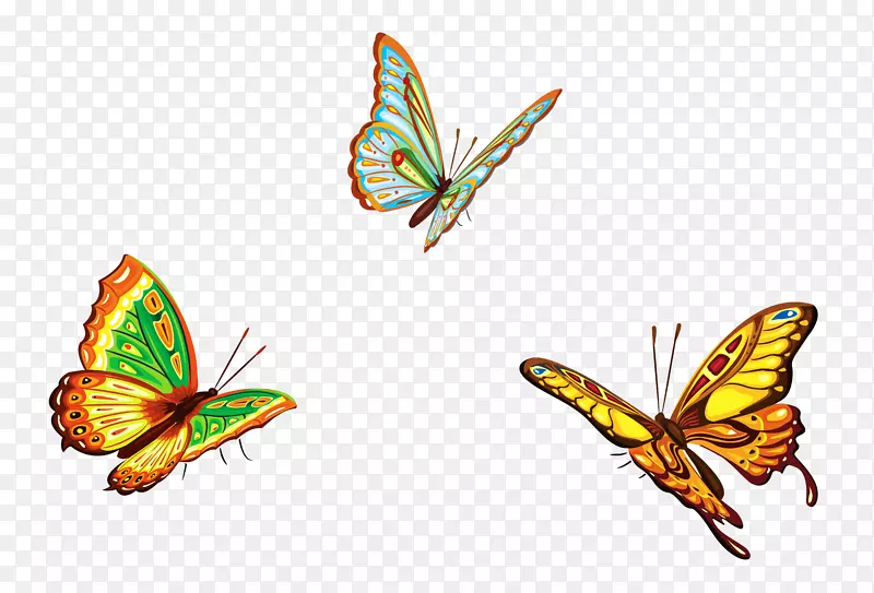 蝴蝶免费内容剪辑艺术-蝴蝶图片