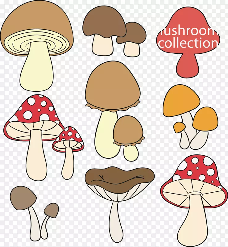 食用菌画.手绘动画蘑菇
