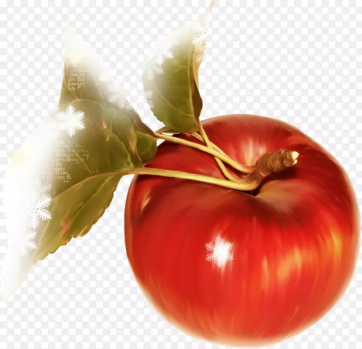 番茄吐司苹果红苹果