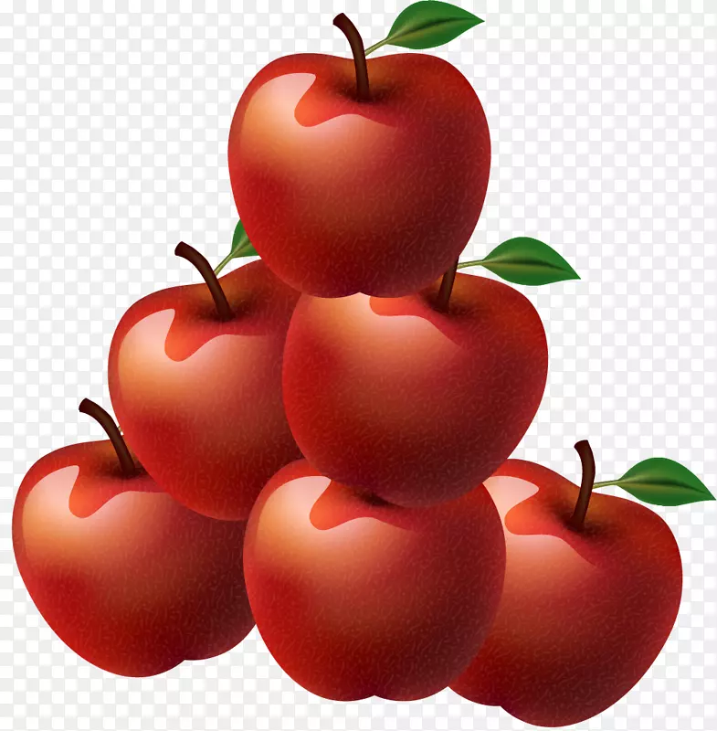 布什番茄巴巴多斯樱桃素食菜蔓越莓红苹果