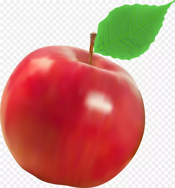 巴巴多斯樱桃辅料水果天然食品-红色美味苹果