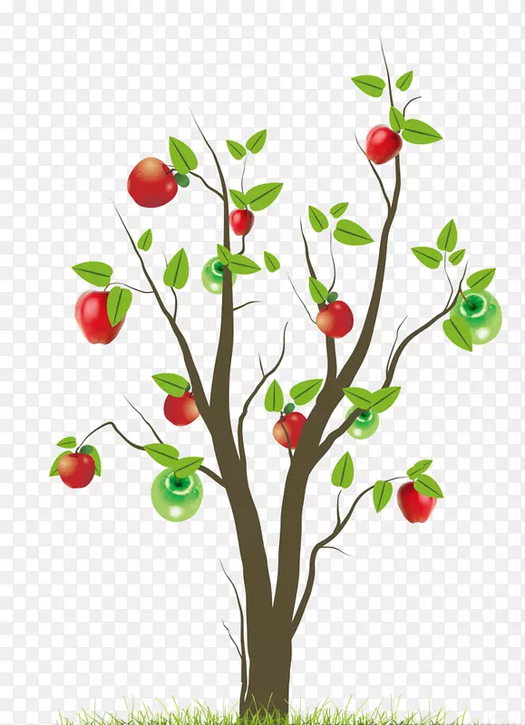 树木剪贴画-2017年红苹果绿苹果
